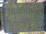 image of grave number 847513